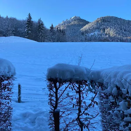 2 Pieces Pieds Des Pistes Terrasse Face A La Montagne Daire Bernex